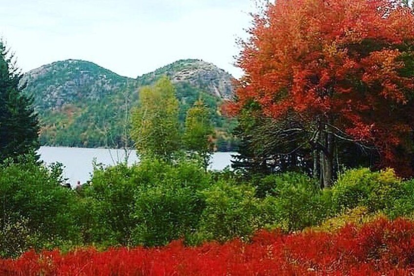 Park Loop Road (Fall)