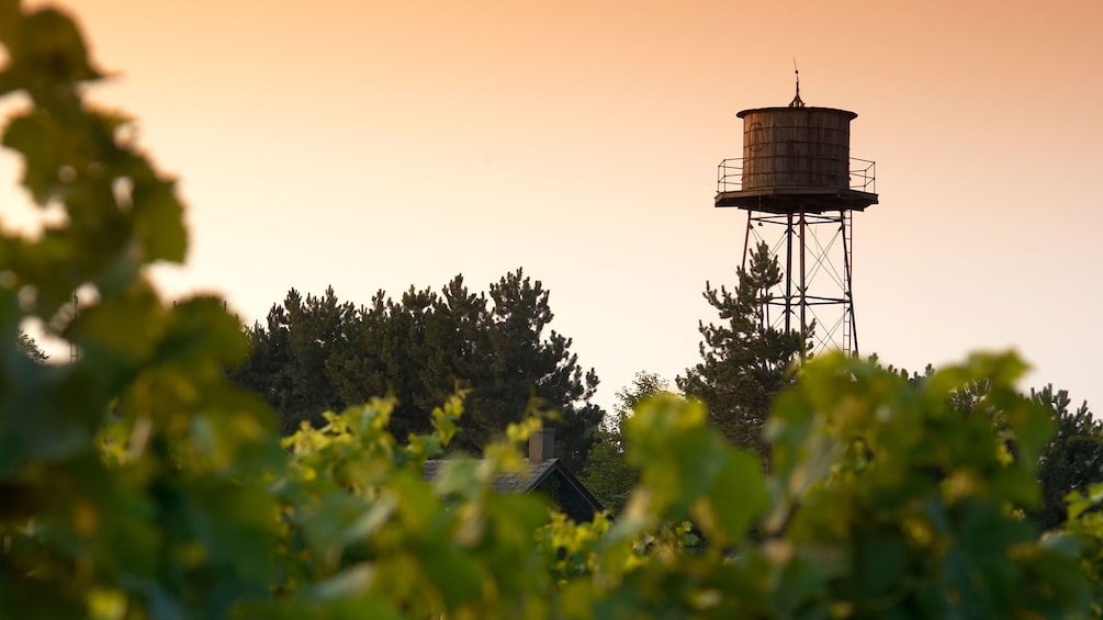 A water tower in the vineyard at Niagara Falls