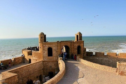 Essaouira Private Tour from Paradis Plage surf yoga & Spa agadir