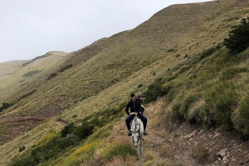 Show item 1 of 8. 4hsHorseback Riding with snack in El Desafio, San Martín de los Andes, Argentina