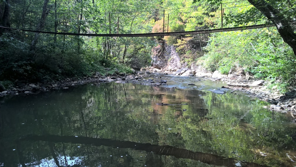 From Brasov: Varghis gorge day trip