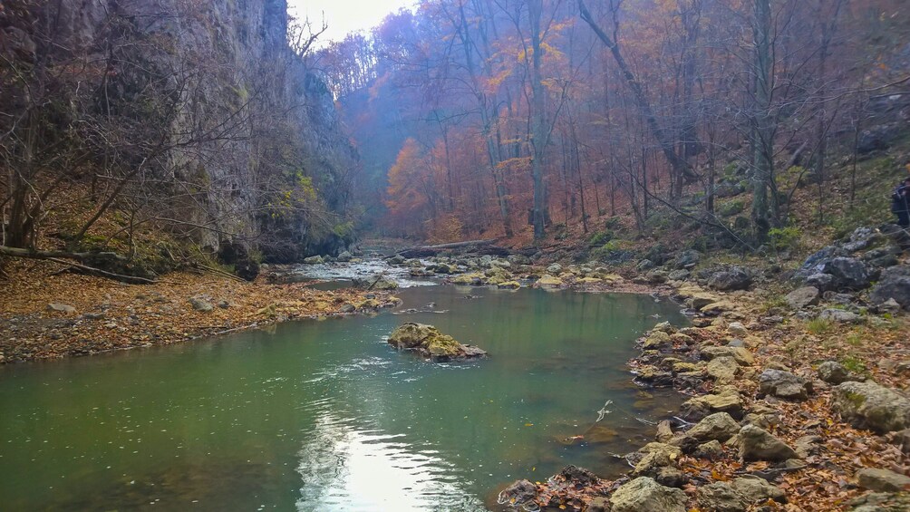 From Brasov: Varghis gorge day trip