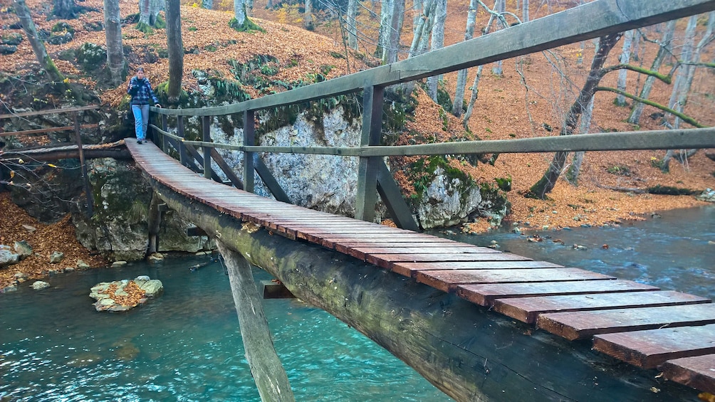 From Brasov: Varghis gorge day trip