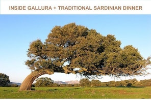 Gallura Tour + Traditional Sardinian Dinner