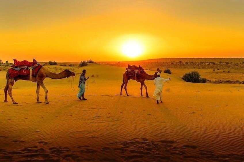 Desert Agafay & Atlas Mountains & Waterfalls, Camel ride Day Trip From Marrakech