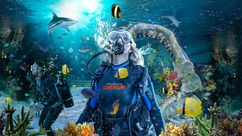 Dive with Sharks