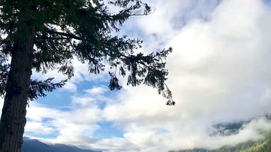 1-Day Olympic National Park Tour