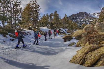 Snowshoeing & Snow Shelter Building Pyrenees