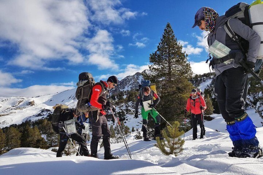 Snow layers and avalanche risk assessment.