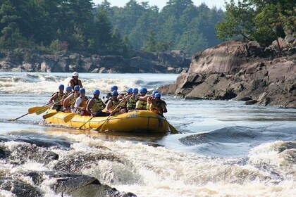 Adventure Rafting on the Ottawa River