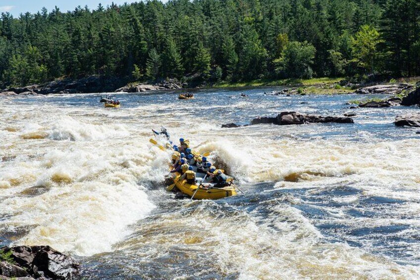 Medium Intensity Rafting