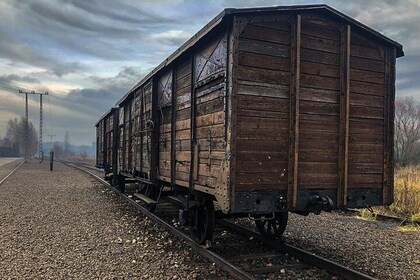 Auschwitz - Birkenau Tour with Private Transport from Krakow