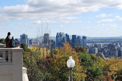 Tour panoramico per piccoli gruppi di Montreal