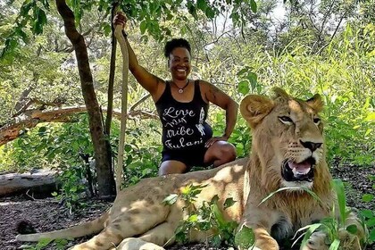 Discovery Senegal 8 Days 7 Nights