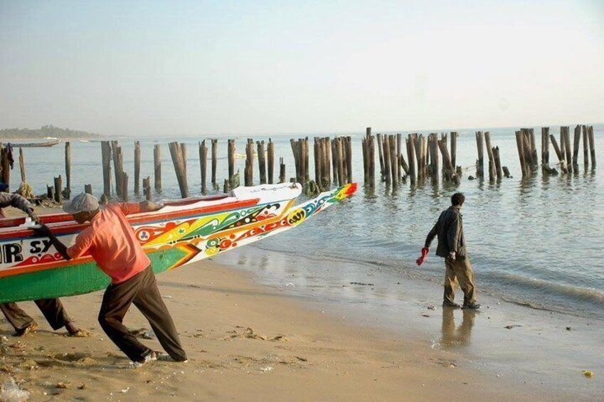 Discovery Senegal 8 Days 7 Nights