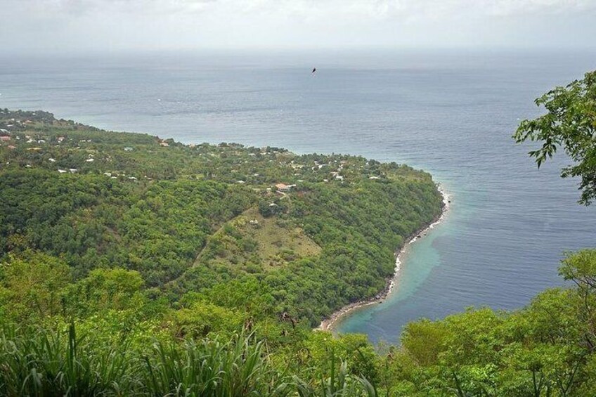 Lucian Piton Nature Trail Hike