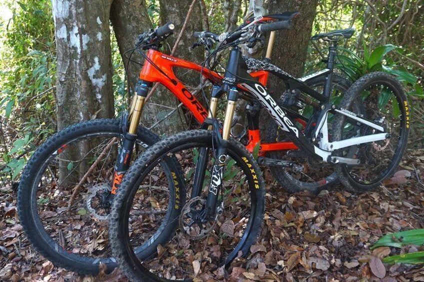 Full suspension Orbea or Santa Cruz mountain bikes 