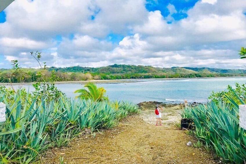 Cabuya Island