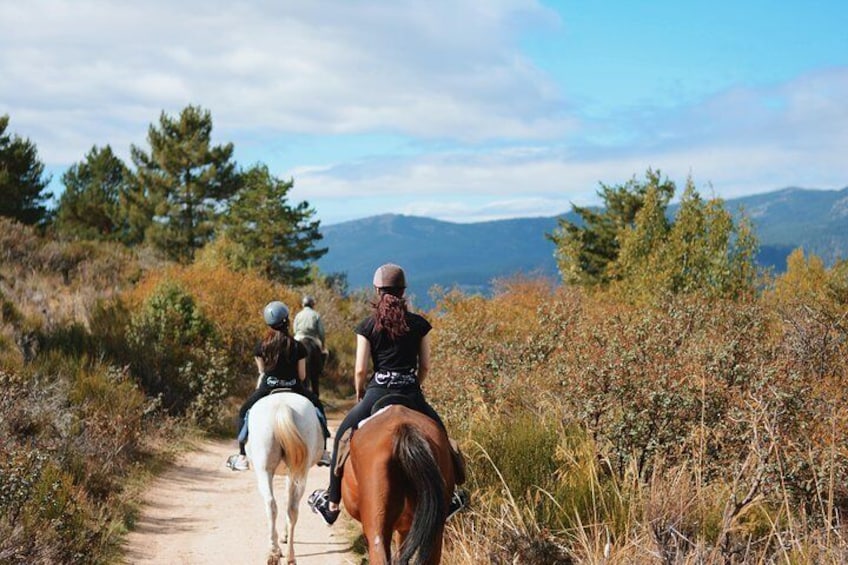 Enjoying Madrid Mountain by horseback Riding