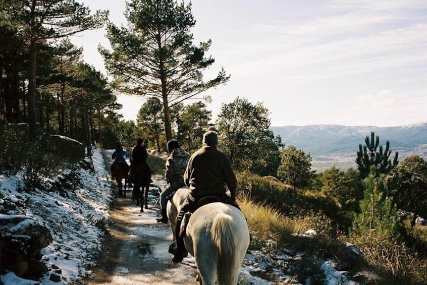 Horse Riding in Madrid Mountain with snow