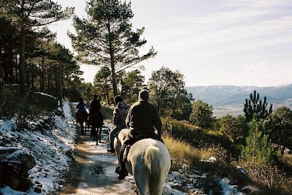Horse Riding Madrid Natural Park