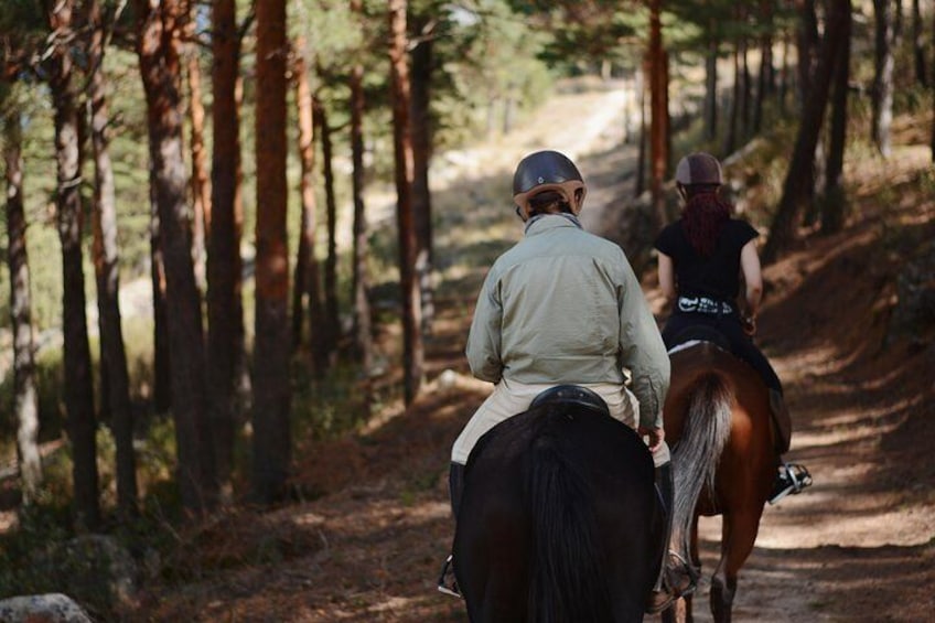 Horse Riding Madrid Natural Park