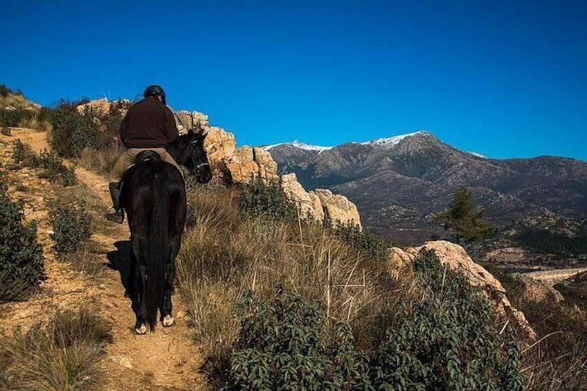 Horse Riding in Spain