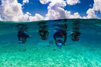 Power Snorkel by Sea Scooter Fødevarer og smagede tequila smagning