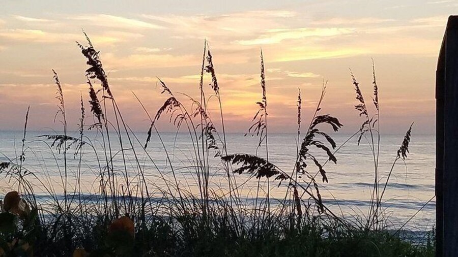 One Hour Surf Lesson with Experienced Instructor