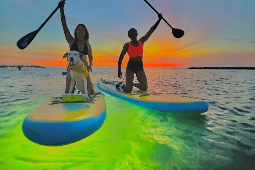 SUNSET GLOW Tour PaddleBoard