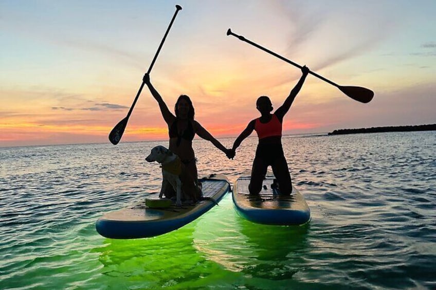 SUNSET GLOW Tour PaddleBoard