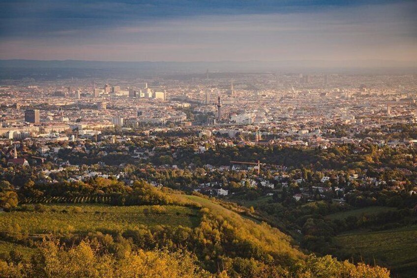 Private Half-Day Sightseeing Tour in Vienna