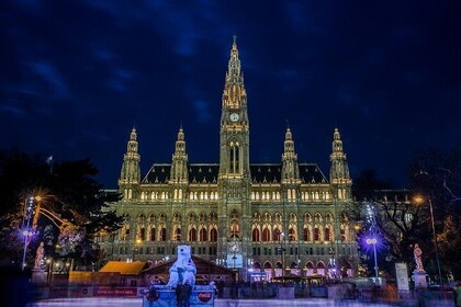 Private Sightseeing in Vienna By Night