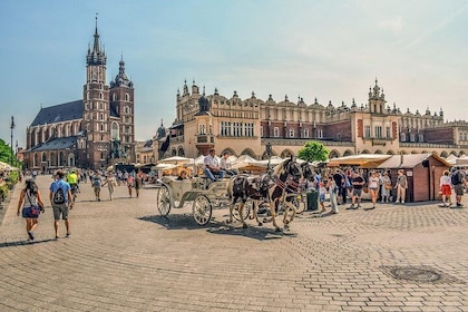 Private Half-Day Sightseeing in Krakow
