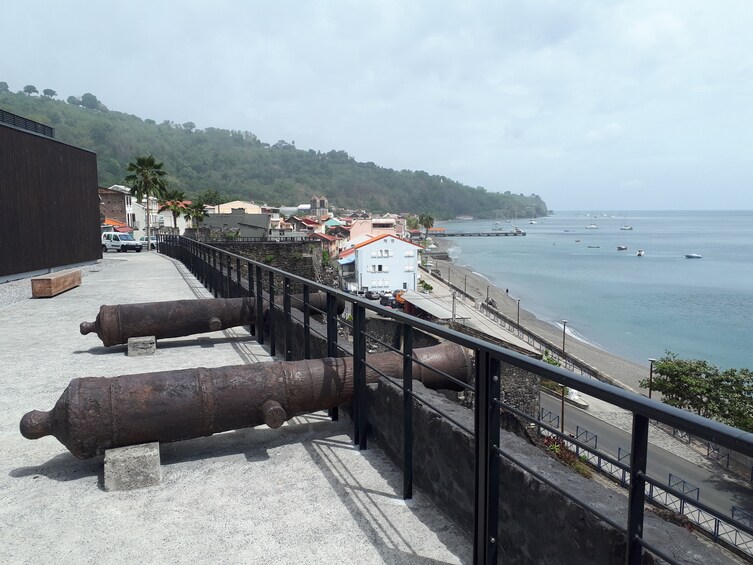 Balata Garden and Saint Pierre Private Excursion