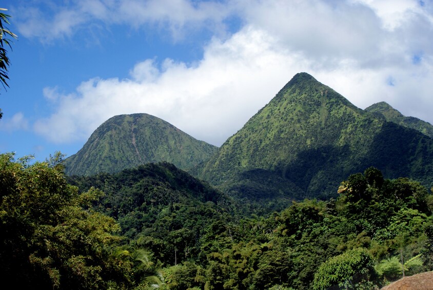 Balata Garden and Saint Pierre Private Excursion