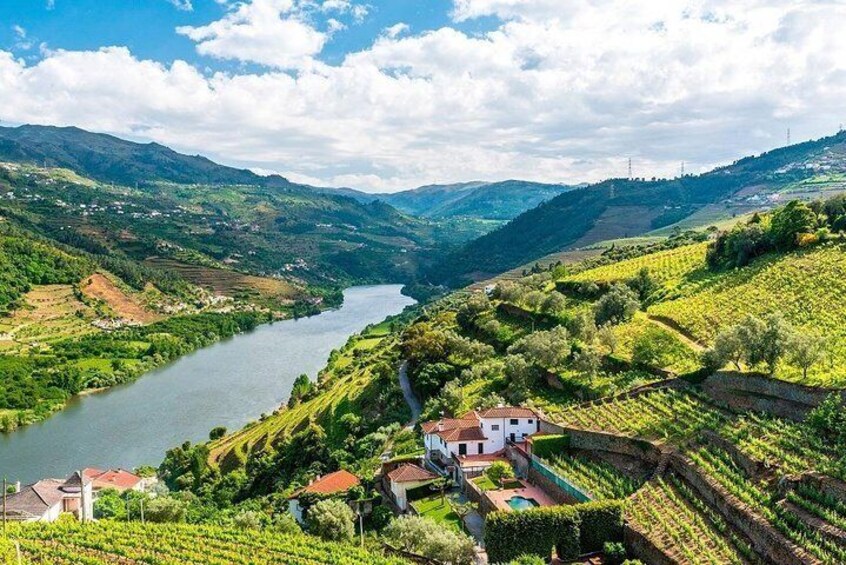Full Day Tour From Porto To Douro Valley