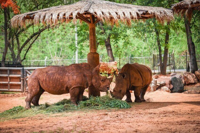 2-Days at Khama Rhino Santuary