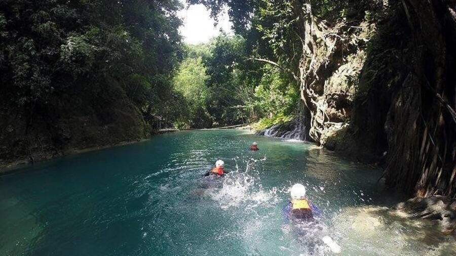 Oslob Whale Shark watching + Canyoneering Adventure Tour