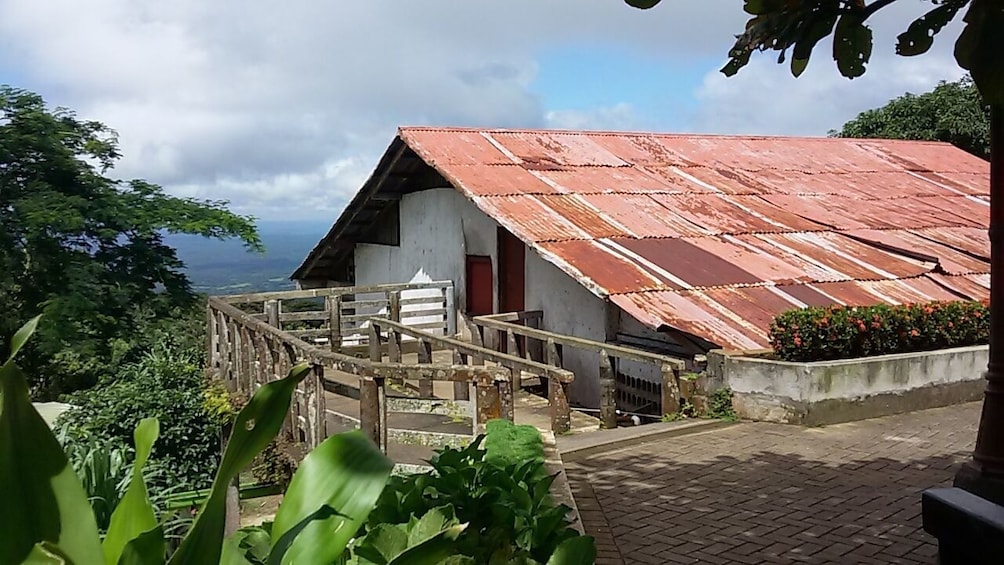 Show item 4 of 6. Private: Mombacho Volcano Natural Adventure