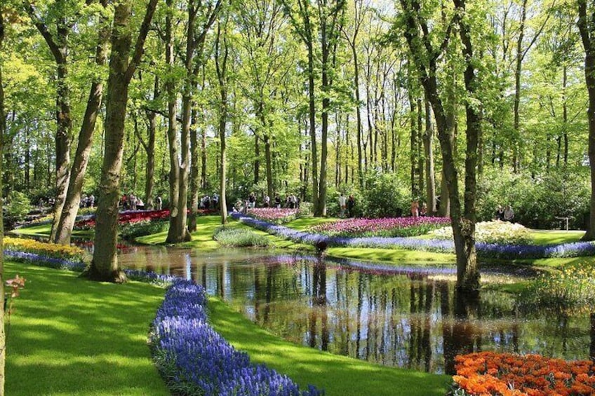 Private Half-Day Trip From Amsterdam to The Tulip Fields in Keukenhof