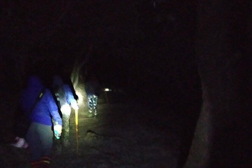 Night Trek with Hedlamps