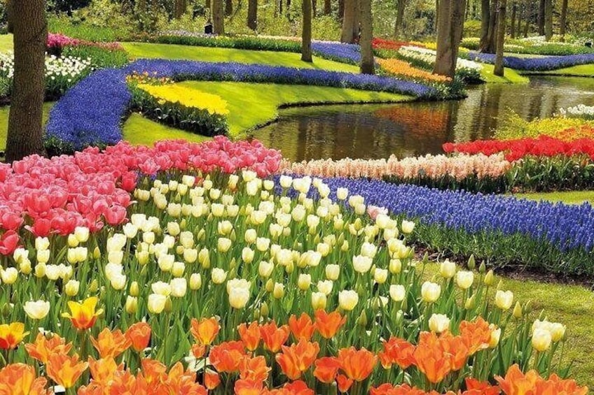 Private tour : Keukenhof Tulips and Delft Tour from Brussels Full day