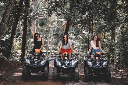 Ubud ATV Quad Bike and Bali Jungle Swing, Ubud