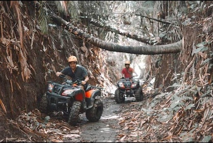 Wild Jungle Expedition: Jungle Hopper & Quad quad bike Adventure