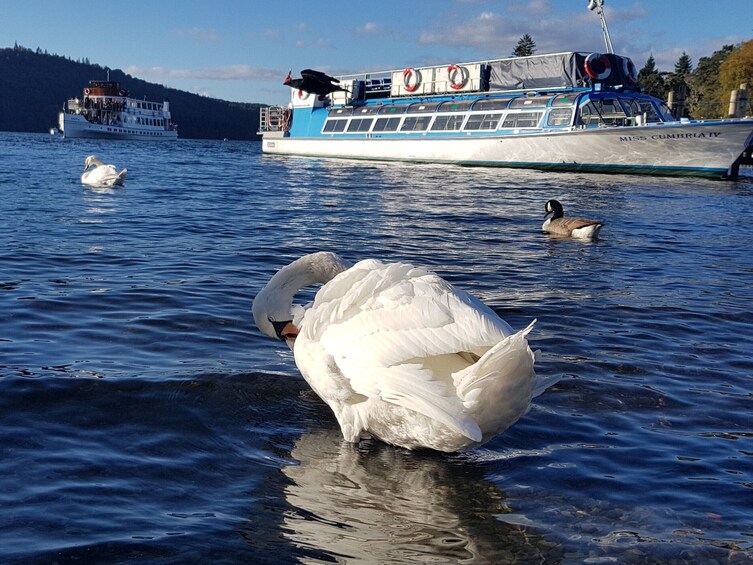Show item 3 of 10. LIVERPOOL: Lake District Adventure Sightseeing Day Trip Tour