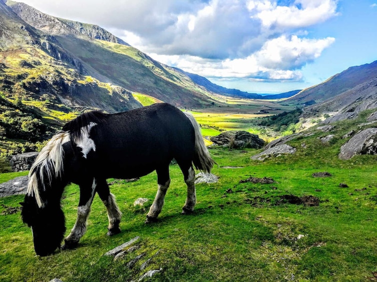 MANCHESTER: North Wales Adventure Sightseeing Day Trip Tour