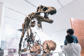 Royal Ontario Museum Admission Tickets