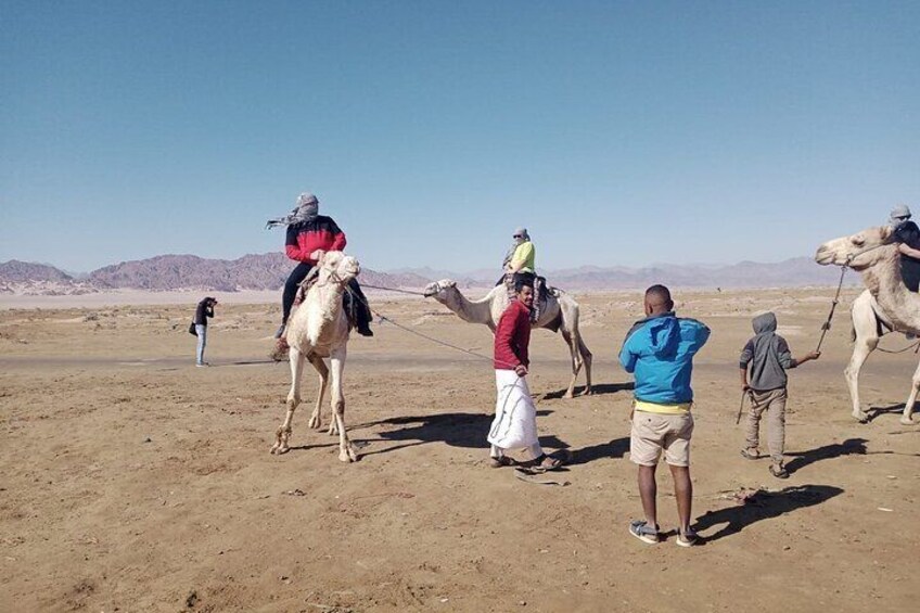 Star Gazing Tour Telescope with Bedouin Dinner, Camel and Show - Sharm El Sheikh