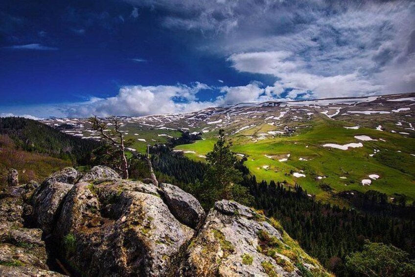 Лагонаки весной фото